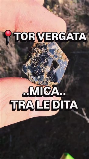 Stefano Orazi on Instagram: "🟡 Oro e Minerali del Centro Italia 💎 Quando la natura supera ogni immaginazione 📍 Tor Vergata – Lazio Il video si apre con una mica biotite nera, perfettamente esagonale. Qualcuno scherza dicendo che sembra intelligenza artificiale… ma è solo geologia reale. Dalla Leucilandia si passa all’Augilandia, seguendo i sedimenti vulcanici fino a una roccia ricchissima di mica ben formata, integra, non frantumata. Cristalli che raccontano milioni di anni di storia. Che spe