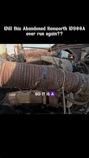 Will It Run Kenworth W900A sitting for years#restoration #willitrun #recovery #old #engine #tractor #repair #tiktok #fyp | Tube Restoration