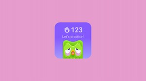 Duolingo widget not working - how to fix black or grey widget