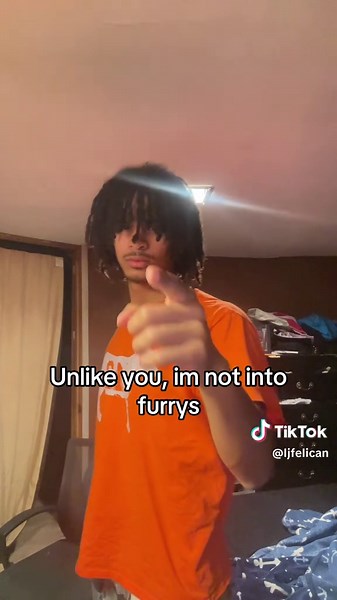 Understanding Furries: Culture and Community