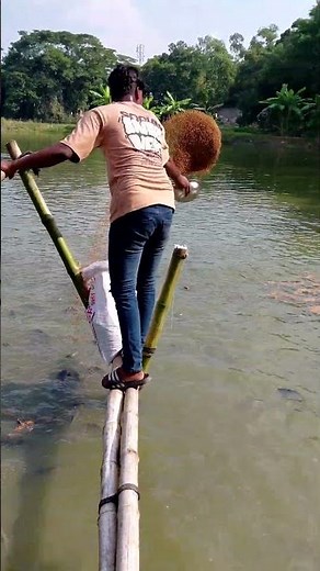 Feeding Time at a Bangladeshi Fish Farm | Everyday Life of a Rural Fish Trader