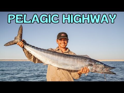 I Can't Believe We Found These So Shallow? - E.P. 2/3 - Remote Fishing and Camping Australia