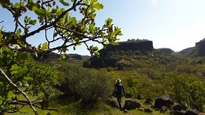 Near the northern end of California’s Central Valley lies the 37,540-acre Gray Davis Dye Creek Preserve, an expansive, volcanic landscape of blue oak woodlands and rolling wildflower fields. Won't you join us for a virtual hike? | The Nature Conservancy