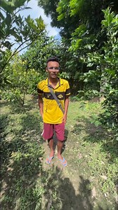 4.4K views · 30 reactions | Malta Mosambi Lemon Harvesting Process in Indian Village #reelsviral | Got talent India’s | Facebook