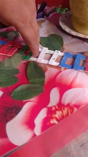 rail road crossing saathsochobis#viralvideo