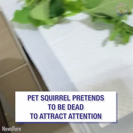 The way it keeps adjusting the "murder weapon" is just hilarious 🤣 | Bright Side