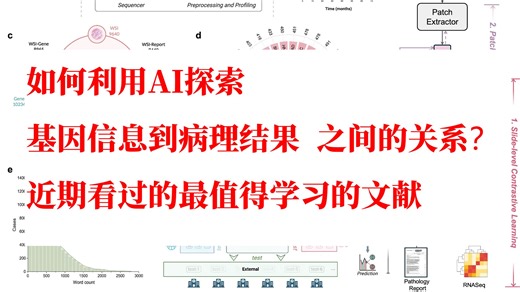 如何利用AI探索基因信息到病理结果之间的关系？对比学习框架优化医学多模态特征提取