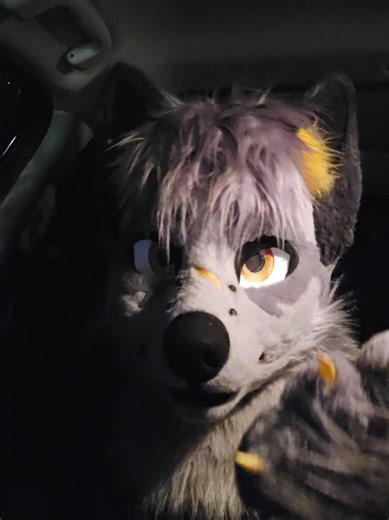 Explore Anthro New England: Furry Convention Highlights