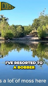 2.7K views · 22 reactions | #fishinmoney | FishinMoney Fishing Memes | Facebook