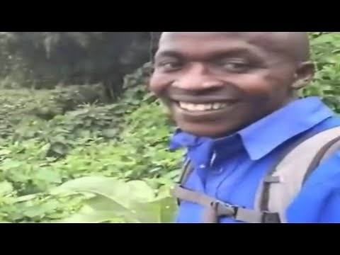 Hi / OKAY / MEME SOUND EFFECT 🇸🇽