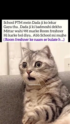 Room freshner #tweetreels#aesthetic #lofichill#brokenheart#sadquotes#lofimusic#thoughts#reels #memes