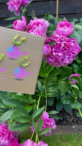 Crafting Sycamore Seed Helicopters for Kids