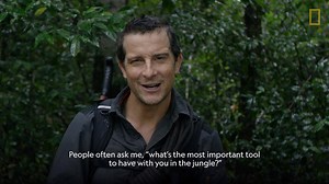 62K views · 105 reactions | What's the most important tool to have with you in the jungle? | National Geographic TV | Facebook