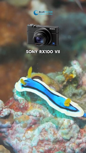 205K views · 1.5K reactions |  Just getting started with underwater...