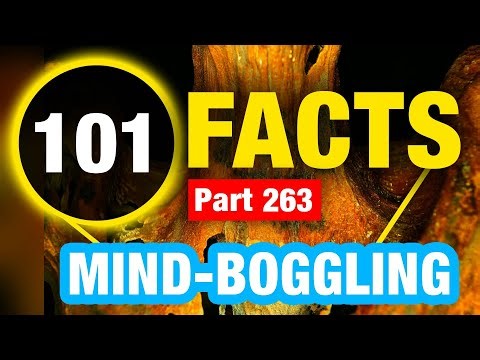 101 World Facts | Amazing Mind Blowing Facts