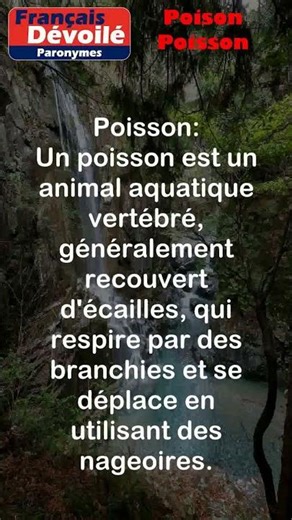 Poison et Poisson (Paronymes) #shorts