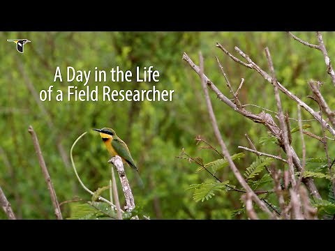 A Day in the Life of a Field Researcher