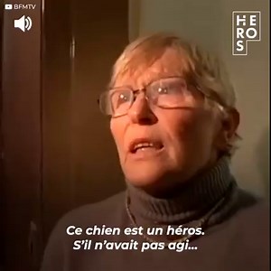 733K views · 10K reactions | Anabella revenait de promener son chien Elvis, un pitbull de deux ans, quand il a commencé à adopter un comportement étrange. Dans les escaliers de leur immeuble, il s’est détaché de sa laisse et a couru vers le haut des escaliers. Sa maîtresse ne comprenait pas ce qui se passait, mais le chien avait ses raisons. Il avait perçu que la vie de quelqu’un était en danger et il allait faire quelque chose pour y remédier. | Héros | Facebook