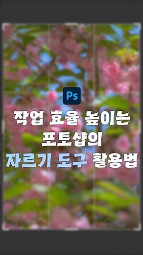 Master the Photoshop Crop Tool 100%!
