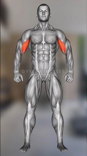 Best Exercises For Biceps With Dumbbells At Home | Bicep Workout With Dumbbells At Home | Biceps