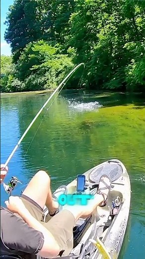 Wacky Rig for Beginners: Hook Sizes 🔥