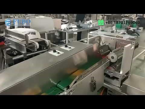 Sachet machine sorter | sorting sachet machine | sachet sorting counting and case packer equipment
