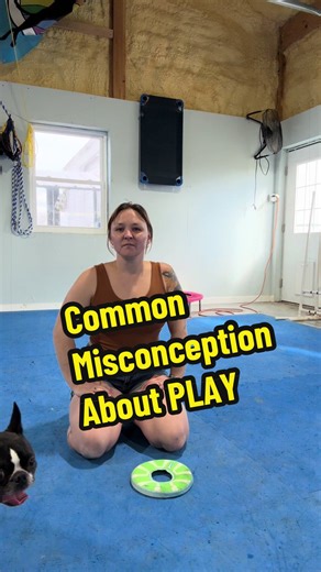 Master Your Dog's Off-Switch: Training Techniques