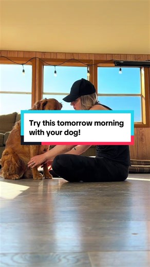 Discover How Your Dog Learns Safety Without Cues