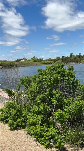 13K views · 317 reactions | Ocean Drive delivers one postcard view...