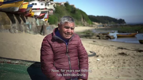 🐟 WATCH: The common hake is in crisis. Years of mismanagement, illegal fishing, and bottom trawling have led this species to dangerous overexploitation, also harming fishing communities that have historically depended on this resource. See Oceana Chile's short documentary about this crisis & the need to recovery this fishery: https://bit.ly/44UQ3Z4 | Oceana