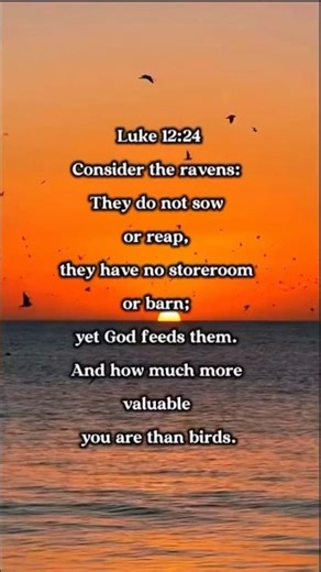 Luke 12:24 — God Cares for You #shorts
