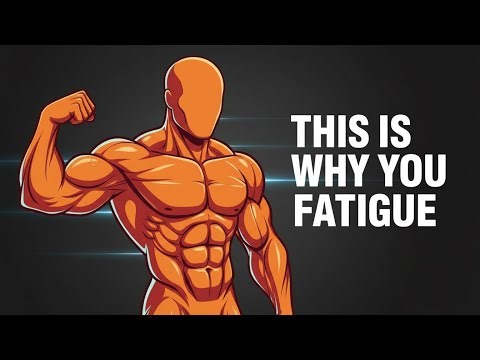 Why Your Muscles REALLY Get Tired It’s Not Lactic Acid/Why Your Muscles Quit Before You Do