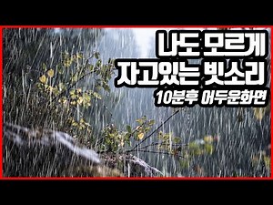 나도 모르게 자고 있는 빗소리｜이명 불면증 치료효과｜10분후 화면꺼짐 ｜RAIN SOUND