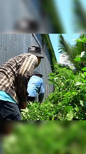 3.9M views · 52K reactions | We saw something in the 30-year-old abandoned house #reel1 #clean #cleanup #cutdowntrees #cleaning | Clean The Old House | Facebook