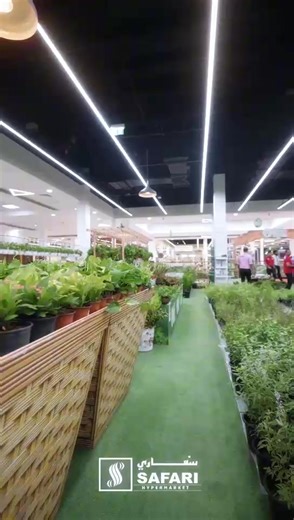 8.7K views · 41 reactions | Experience the Beauty of Nature with Safari’s Go Green, Grow Green Promotion! Discover an inspiring range of plants and garden accessories—now at unbeatable prices—on the 1st floor of Safari Mall. Add a touch of green to your home and embrace the joy of nature. Don’t miss out on this special offer—visit us today! | Safari Hypermarket UAE | Facebook