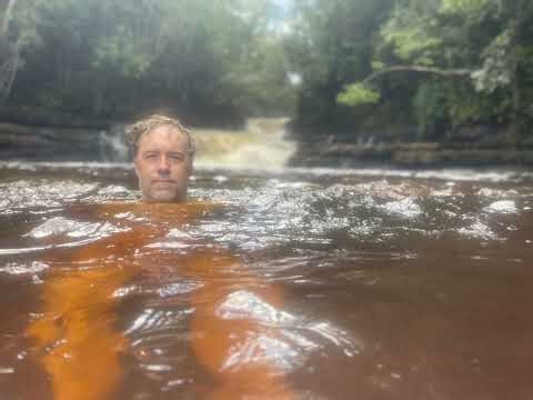 A Strange Trip: Terence McKenna and Psychedelics