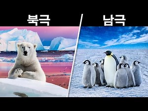 북극과 남극은 뭐가 다를까？