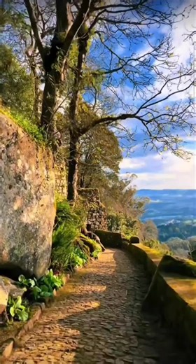 Proud Jew (@proud.jew443)’s videos with original sound - 🇮🇪 𝐔𝐥𝐬𝐭𝐞𝐫 𝐍𝐚𝐭𝐢𝐯𝐞