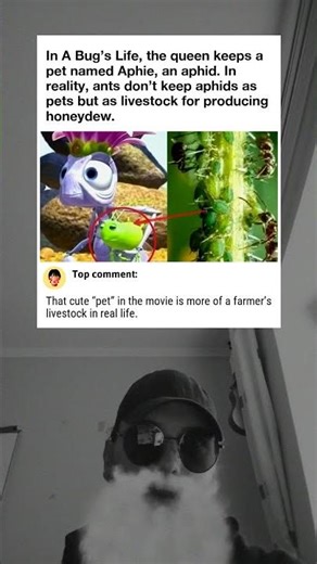 The Queen’s Pet Aphid in A Bug’s Life 1999