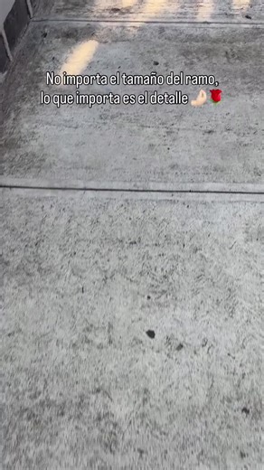 Videos de sonreir_es_sano (@sonreir_es_sano) con “Amo El Dinero - HearTone”