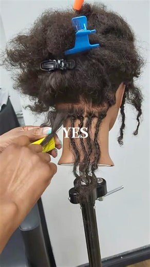 The Loc Apprentice Life