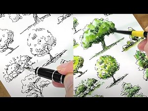 어반스케치 나무 그리기 | 만년필 펜드로잉, 수채화 채색 | a tree drawn with a fountain pen