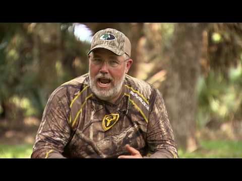 Hunting coyotes with decoy dogs