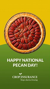 Happy #NationalPecanDay! Did you know the U.S. produces about 80% of the world’s pecans with more than 271 million pounds each year? With #cropinsurance, pecan growers can manage risks like weather and pests, providing a steady supply of this beloved nut. Learn more: https://bit.ly/4jWP9Ed | Crop Insurance Keeps America Growing | Facebook