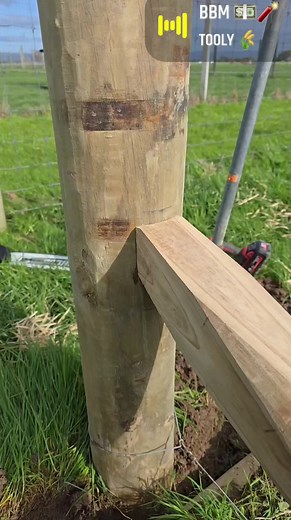Cutting a Weathered Wooden Post with a Chainsaw