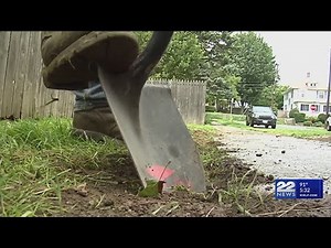 National Safe Digging Day: Call 811 before you dig