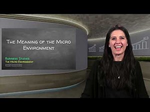 1.1 THE MICRO ENVIRONMENT - THE MEANING OF THE MICRO ENVIRONMENT