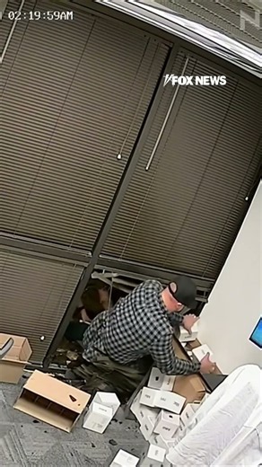 Burglar steals EMPTY Mac mini boxes instead of computers #shorts #us #viral #theft #crime