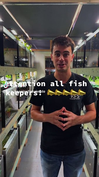 EOFY Sales for Fish Keepers at Keeping Fish Simple