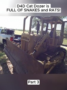 23K views · 192 reactions | D4D Cat Dozer is FULL OF SNAKES and RATS! (Part 3) #rusttoroar #willitstart #fblifestyle | Rust to Roar | Facebook